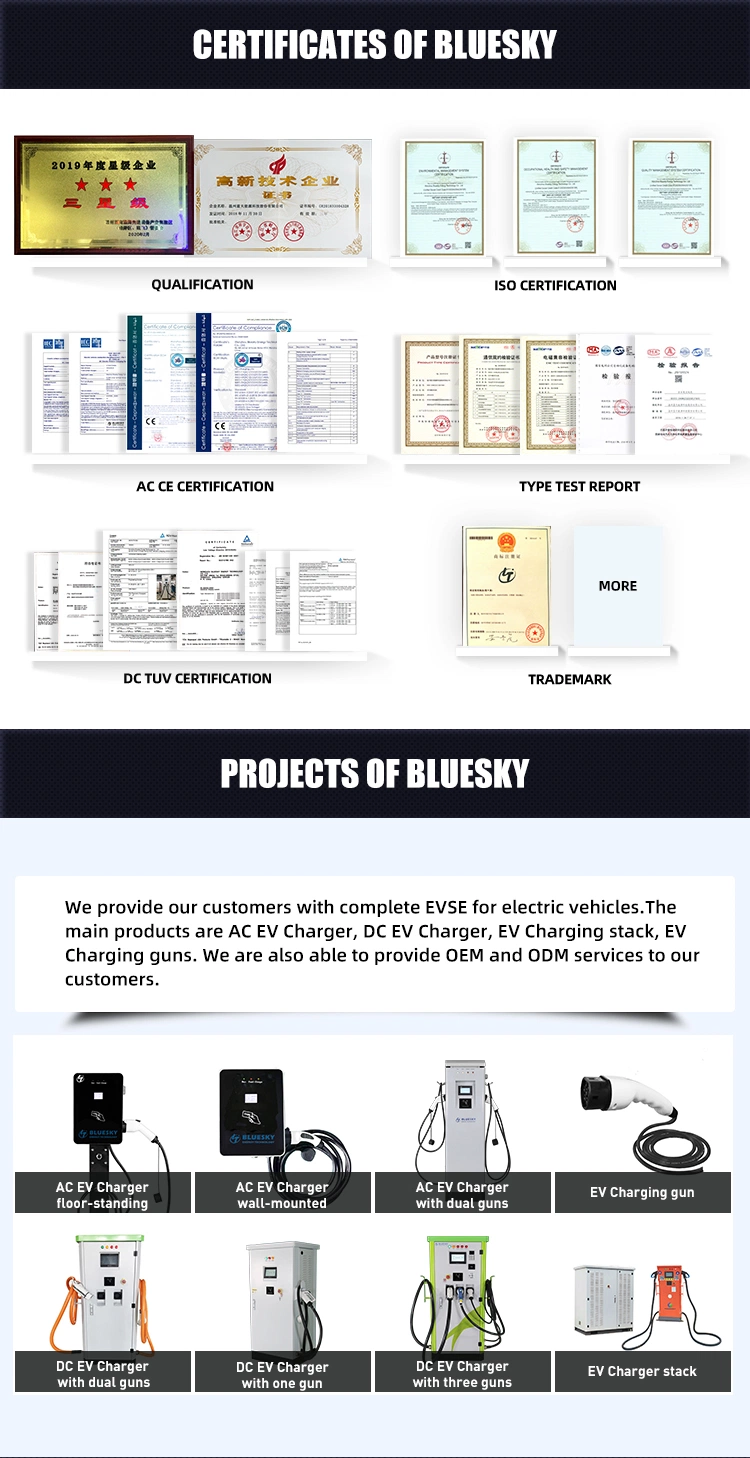 Bluesky 60kw Wholesale DC Electric Car EV Charger CCS Chademo Gbt